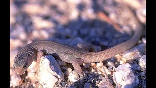 10 Interesting Scientific Discoveries for November 2025