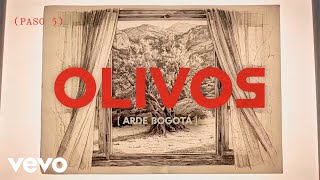 Olivos Lyrics  Translation