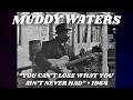 Muddy Waters • “You Can’t Lose What You Ain’t Never Had” • 1964 [Reelin' In The Years Archive]
