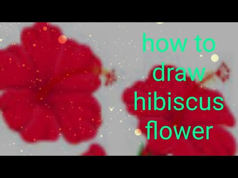 How to draw and shade hibiscus flower#howtodrawhibiscusflower#