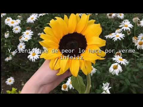 En los mismos errores - Don Zares❤️