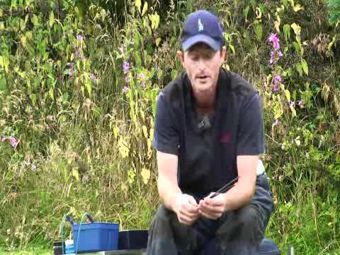 MAP's Mike Robinson talks about wagglers