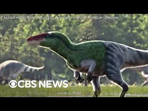 Animation depicts newly-discovered dinosaur species