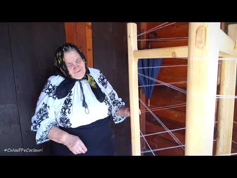 La urzit - Floarea Flore din satul Lunca Vișagului, com. Poieni, jud. CLUJ