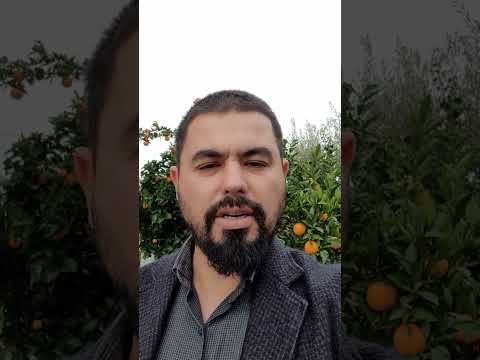 Dy mëkate të cilët nuk duhet të jenë në jetën e besimtarit!