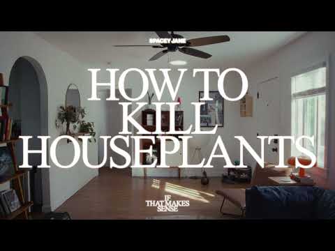 Spacey Jane - How to Kill Houseplants (Official Visualizer)
