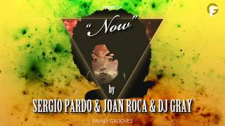 Sergio Pardo, Joan Roca & Dj Gray - Now (Original Mix)