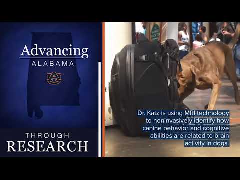 download lagu mp3 mp4 Auburn University Research, download lagu Auburn University Research gratis, unduh video klip Auburn University Research