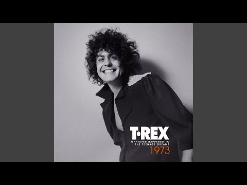 Download T.Rex - 20th Century Boy (Bonus 45 Cut) MP3
