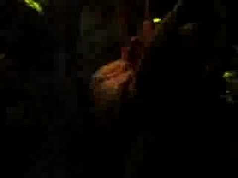 Bozzini met Lein 3 mei 2008