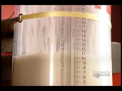 download lagu mp3 mp4 Who Makes Milk, download lagu Who Makes Milk gratis, unduh video klip Who Makes Milk