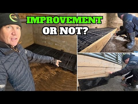 Trying Something New | Modifying Others & Dealing With A Bad Injury