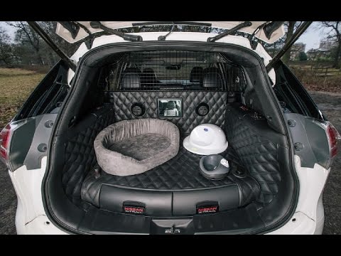 Nissan X Trail 4Dogs  the 'pawfect' car for family adventures