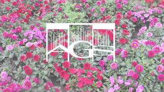 Shine (feat. Freddy Verano &amp; Linying) (Extended mix) - Felix Jaehn