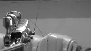 Brompton Oratory by Nick Cave