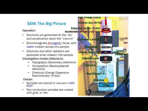 NACK S01: Charged-Particle Interaction Analysis
