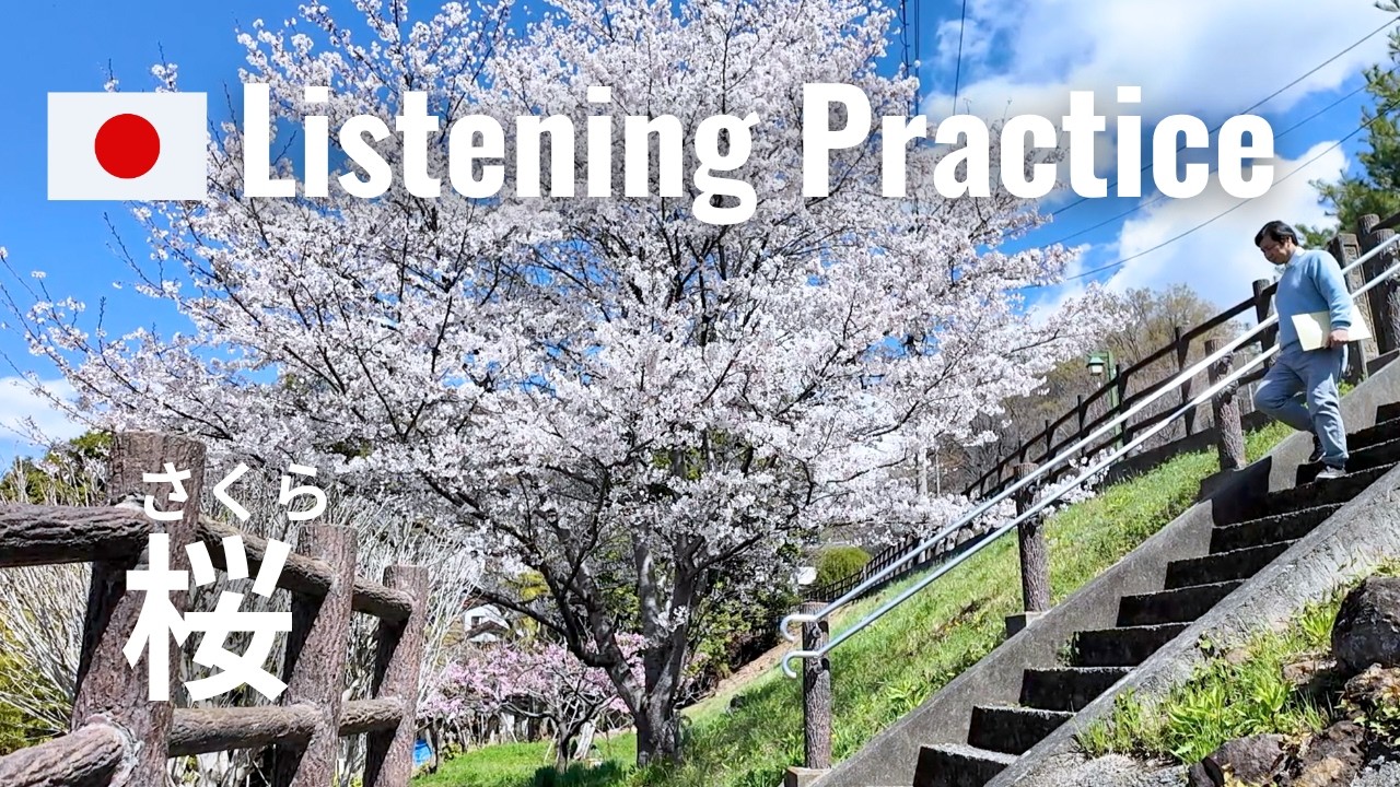 Walking Through Cherry Blossom Season in Japan | Japanese Listening Practice