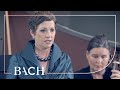 Bach - Cantata Bereitet die Wege, bereitet die Bahn BWV 132 - Bernardini | Netherlands Bach Society