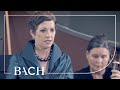 Bach Cantata Bereitet Die Wege Bereitet Die Bahn BWV 132 Bernardini Netherlands Bach Society