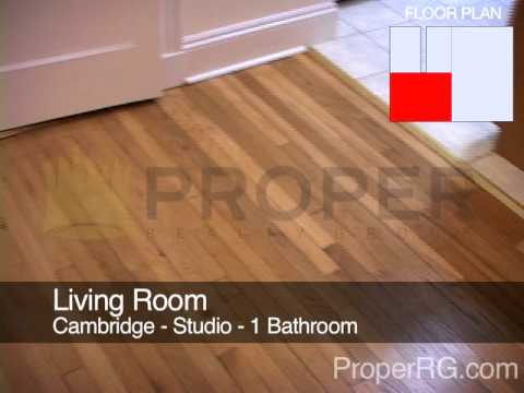 Boston Apartment For Rent - Wendell St. in Cambridge - Studio