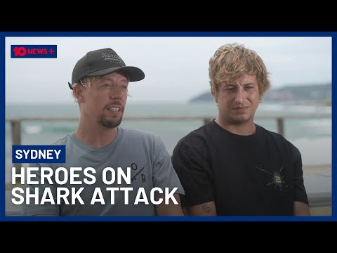 Hero Surfers Describe Rescuing Victim Of Manly Beach Shark Attack | 10 News+