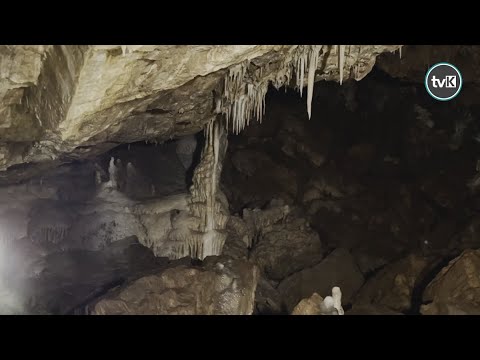 Górnicy przebili się do Sali Mastodonta