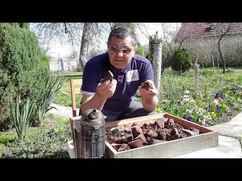 ZA MLADE PČELARE VELIKI SAVJET 8.04.2021.