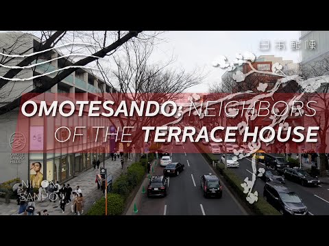 Tokyo Streets - Omotesando: neighbors of the Terrace House