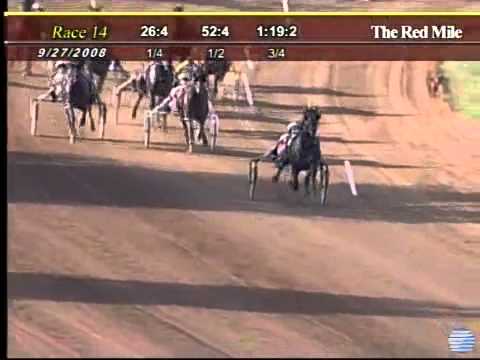 Harness Racing Somebeachsomewhere World Record 3yo Pacing Horse.flv