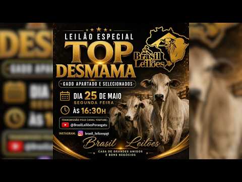 LEILÃO  ESPECIAL TOP DESMAMA BRASIL LEILÕES  PORANGATU - GO  25 /05 / 2026
