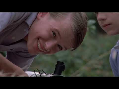 The Census Taker (1984) Opening Credits with Residents Soundtrack