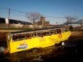 Duck Tour In Charles River Boston