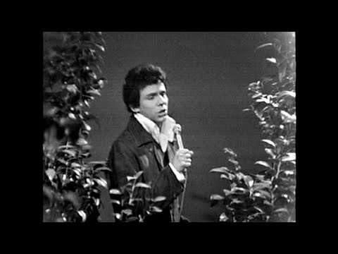 GRANDES MOMENTOS MUSICALES VOL1   -  VIDEO