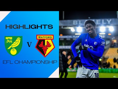 LAST-MINUTE LIMBS 😍 | Norwich City 0-1 Watford | Short Highlights
