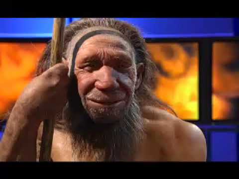 Quarks & Co:  Auf der Spur der Neandertaler