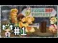 Let's Play Final Fantasy Crystal Chronicles: Ring of ...