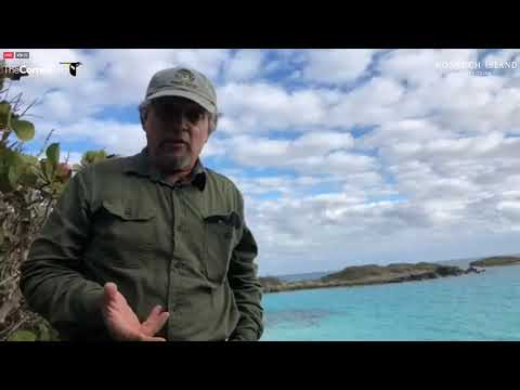 First Nest Check of Returned Bermuda Petrel on the CahowCam | Nonsuch Expeditions | Cornell Lab