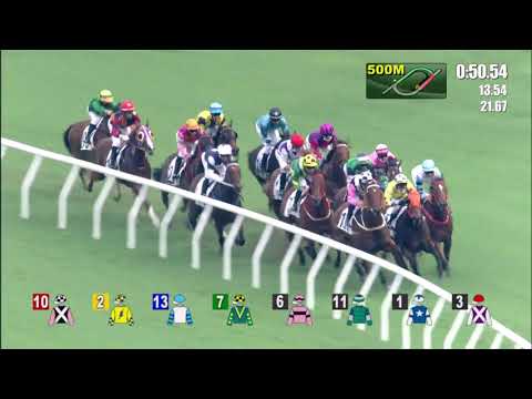 6/6/2021 (736) Kasi Farasi - T Piccone