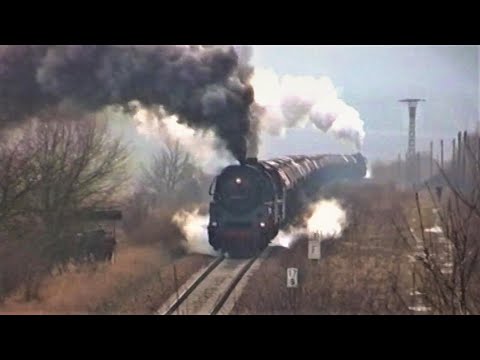 6 of 24 | Incredible! 5 steam locomotives at Kali-Dampf II | Planned steam