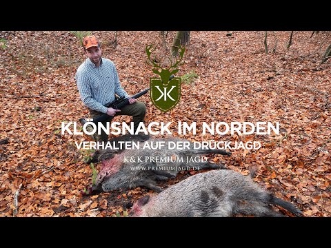 Klönsnack im Norden - Verhalten auf der Drückjagd