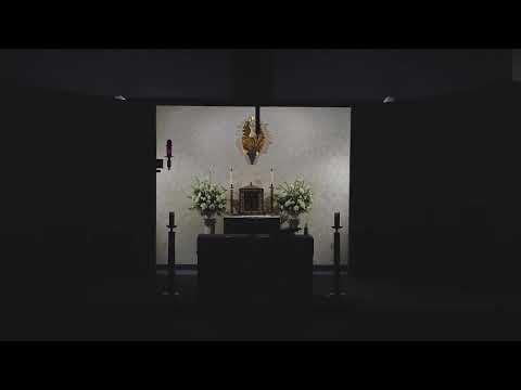 Rosary and Healing Mass 012026 - 630 PM