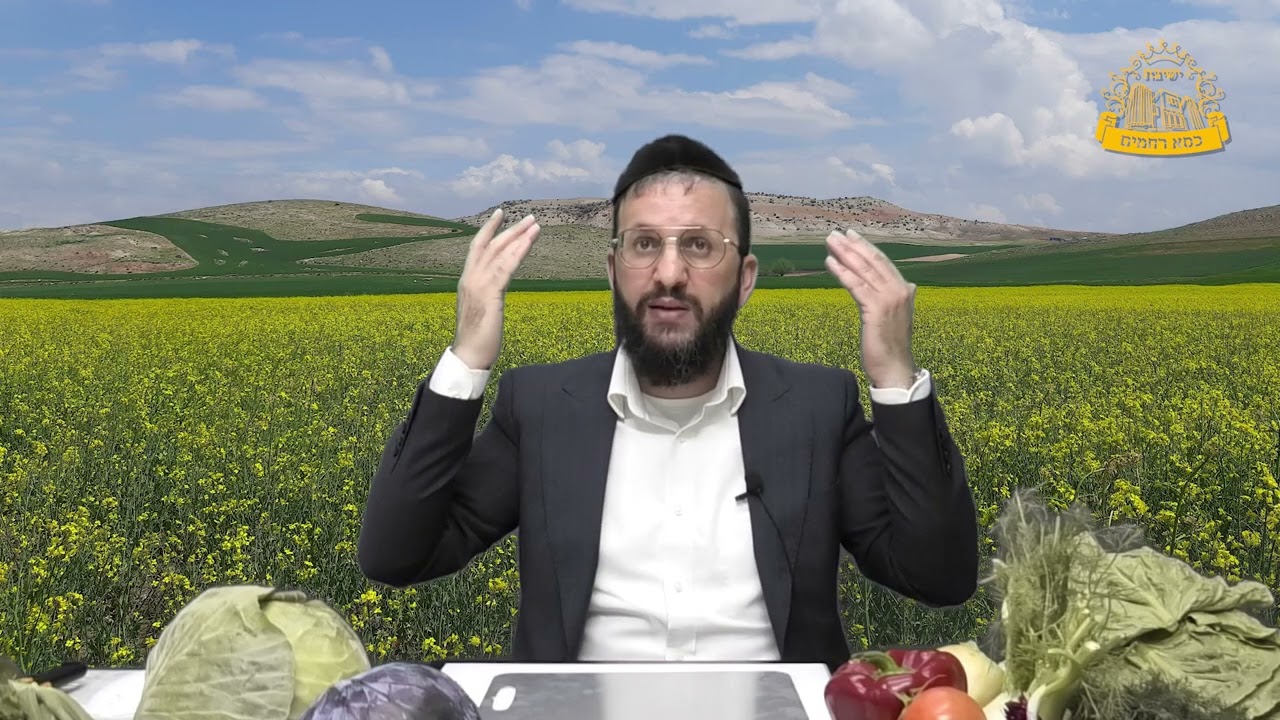"הסוד לגידול נקי - הצצה לפתרונות מהשטח"   | כשרות למהדרין | הרב חננאל כהן