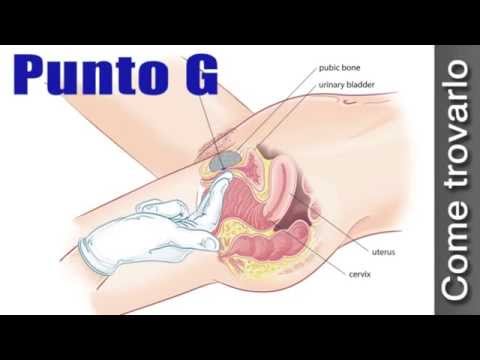 Che tale formazione della prostata Come rendere il vostro uomo di massaggio il video della prostata