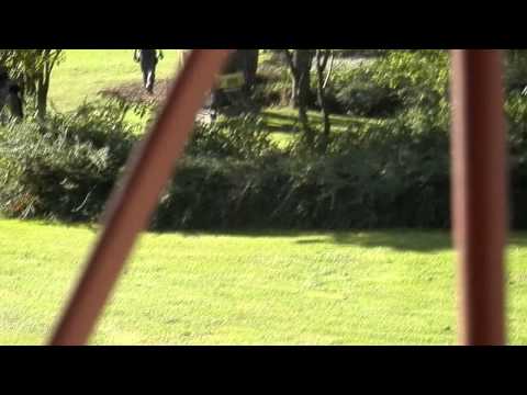 MongoTV_027 - Del 2 - Godmorgen Fra Olsens Altan