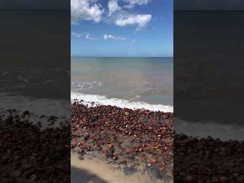 Balneario Bella Vista, Maldonado 🇺🇾, #playa #sonido #agua #relax