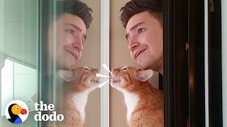 Things All Cat Parents Say | The Dodo by The Dodo