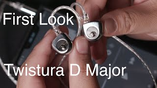 First Look 13: Twistura D Major: The best sound below $100?