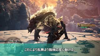 【MHWI】片手剣のススメ2。