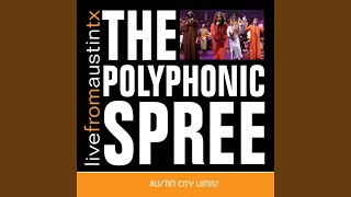 Section 12: Hold Me Now (Live)