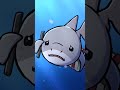 White Shark Animation Original Cartoon